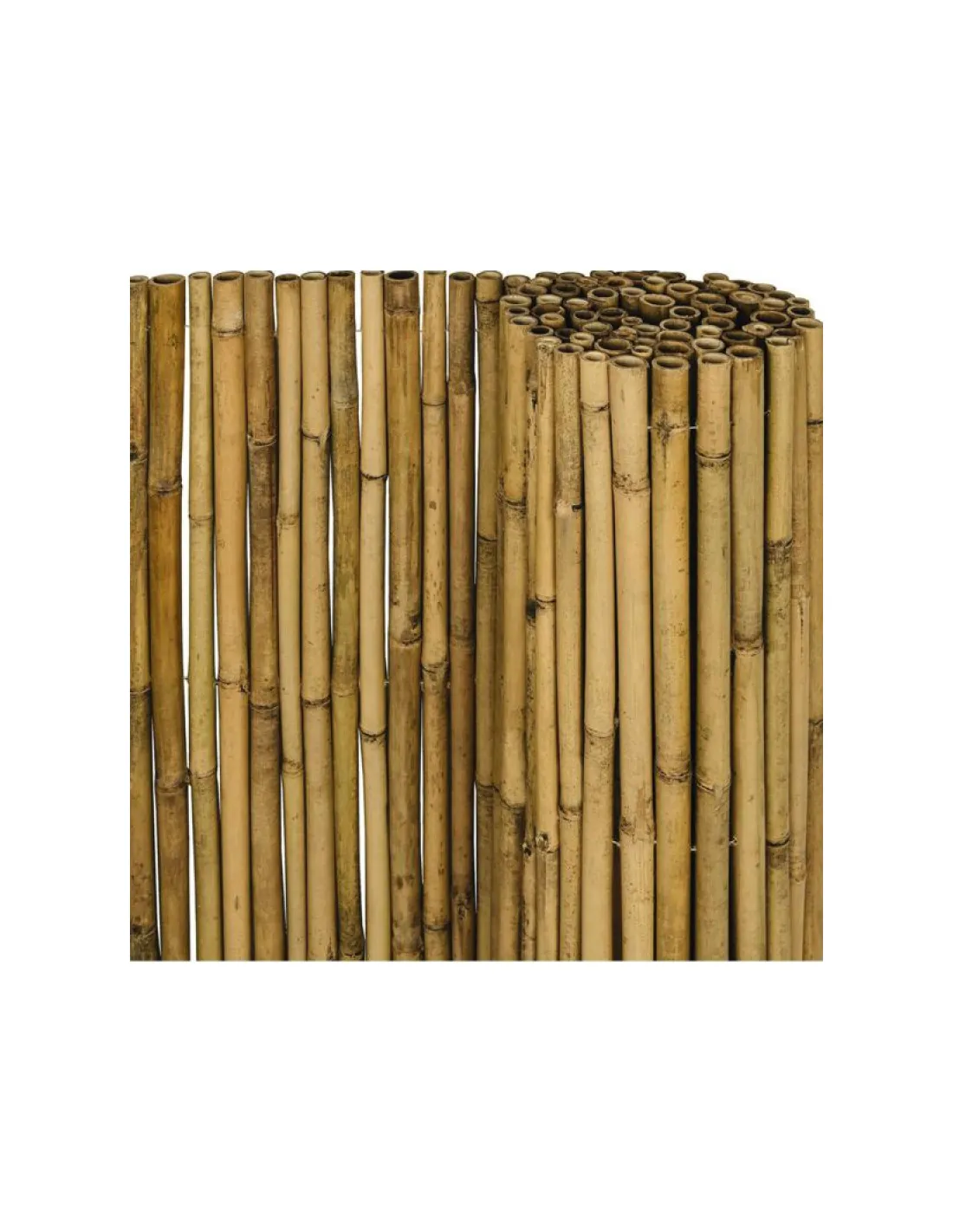 canisse ronde tige de 10/12 mm tissage fil inox haut 1,50 m long 5 m - - 310150SICATEC